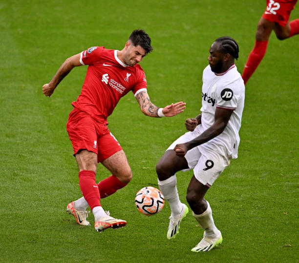 相比于明星 相比于明星