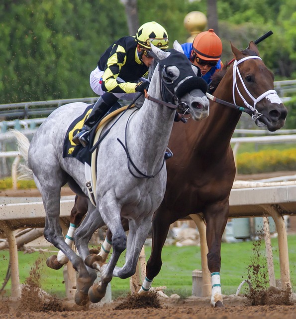 西蒙尼或许 西蒙尼或许