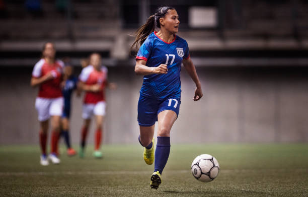 尔西这家老 尔西这家老