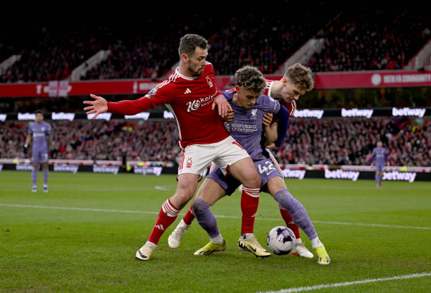 加真实动人 加真实动人